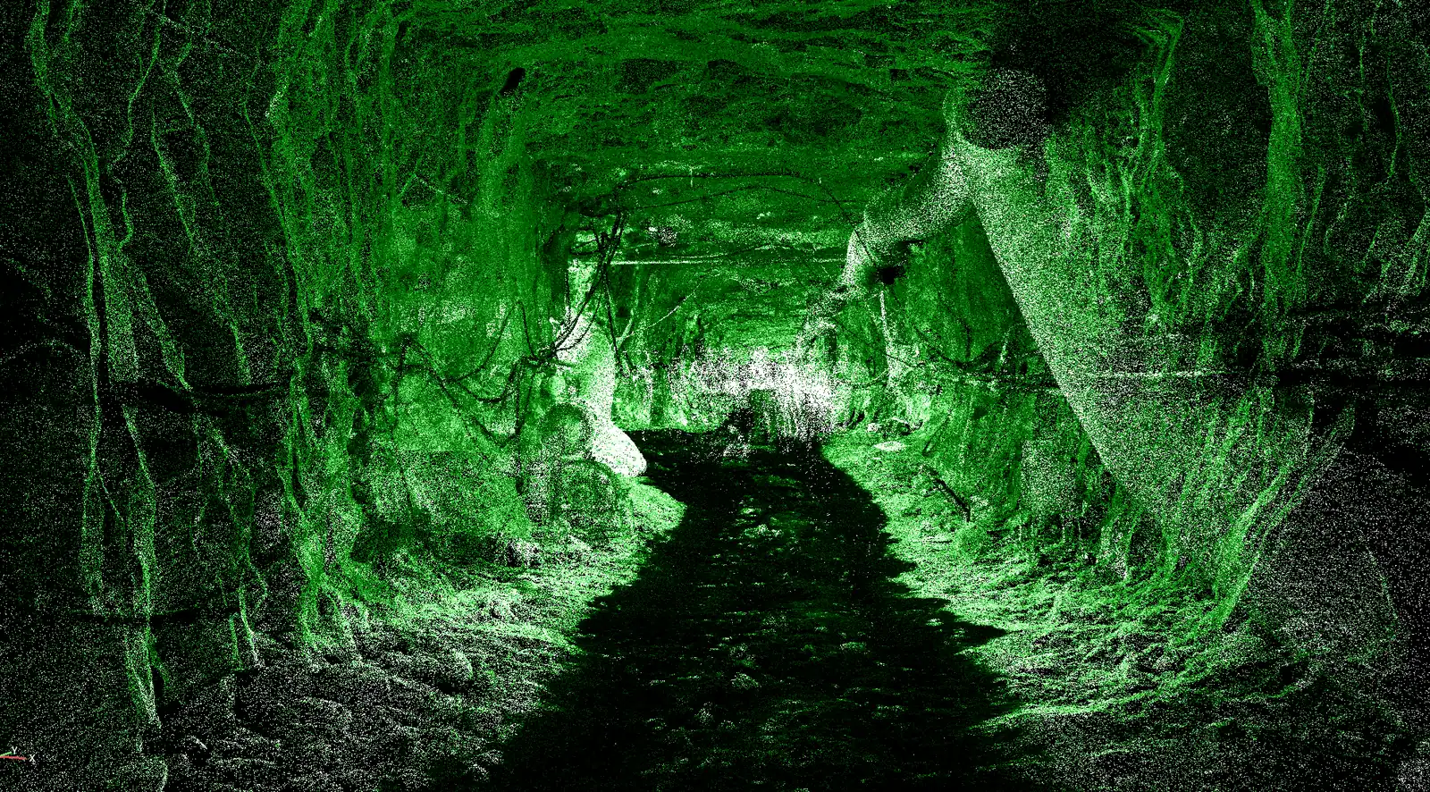 Tunnel bore point cloud coloured by intensity